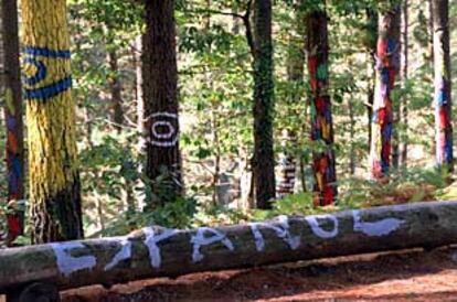 Pintadas en los árboles del bosque de Oma creado por Agustín Ibarrola.