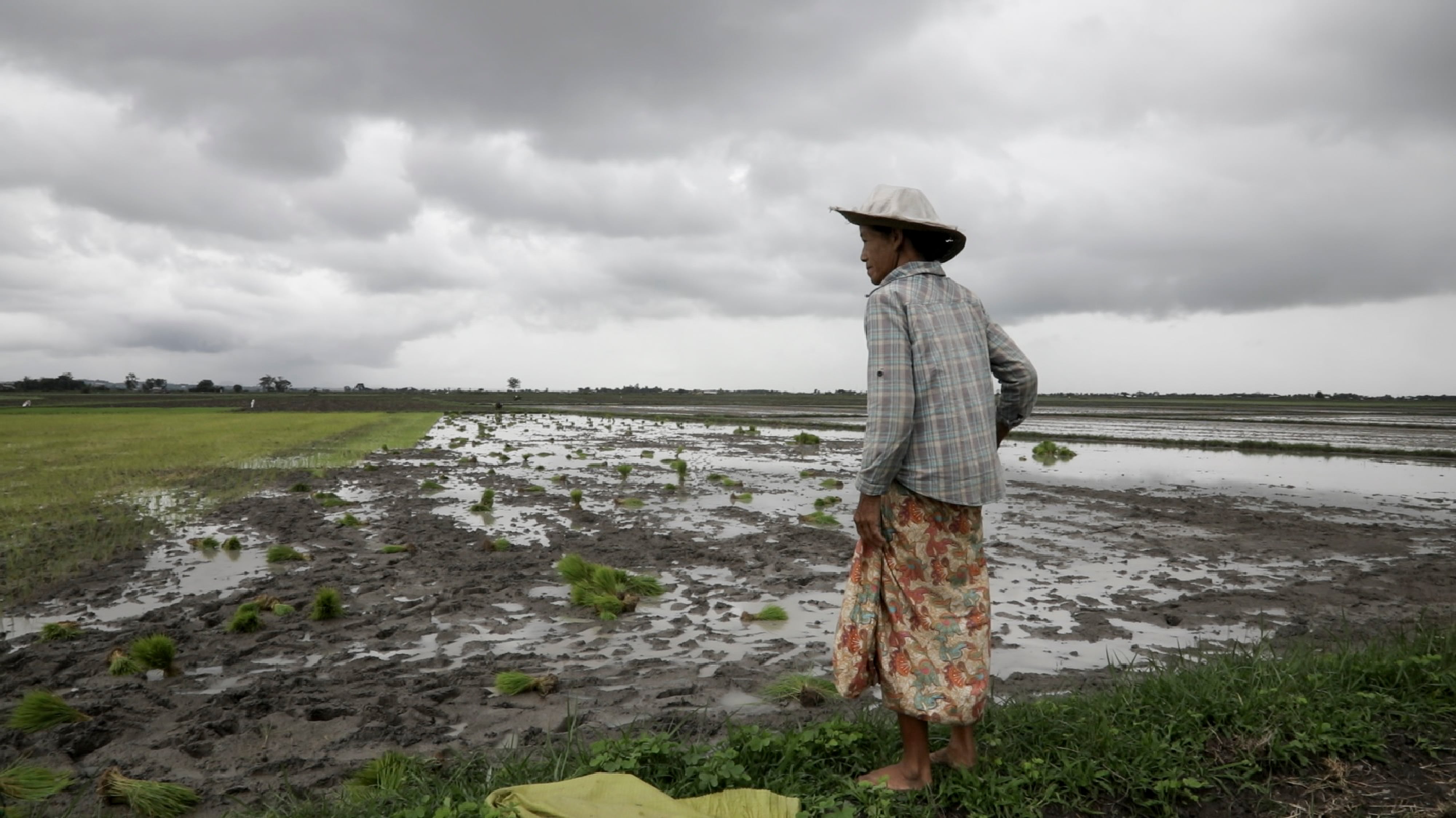 Una mujer trabaja en los campos de arroz entre Loikaw y Demoso, a pocos kilómetros de distancia del frente de guerra, el pasado junio.