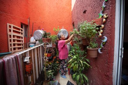 A la izquierda, la vecina de Chari, en la ventana de la zotehuela. A la derecha, Chari y una vecina en su sala. Sobre estas líneas, Chari en su zotehuela.

