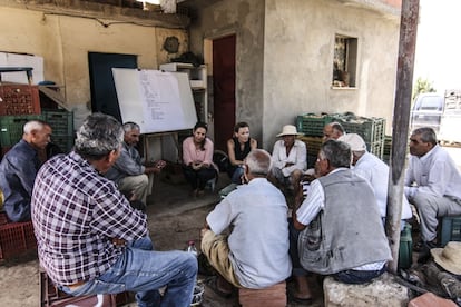 Las escuelas de campo se introdujeron en Jordania en 2003, para el programa de control integradode pestes. En lugares como Karak (en la imagen), los agricultores tratan hoy 16 temas distintos relacionados con cultivos como los tomates, las sandías o los pepinos.