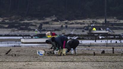 Mariscadoras faenan en Carril, el pasado diciembre