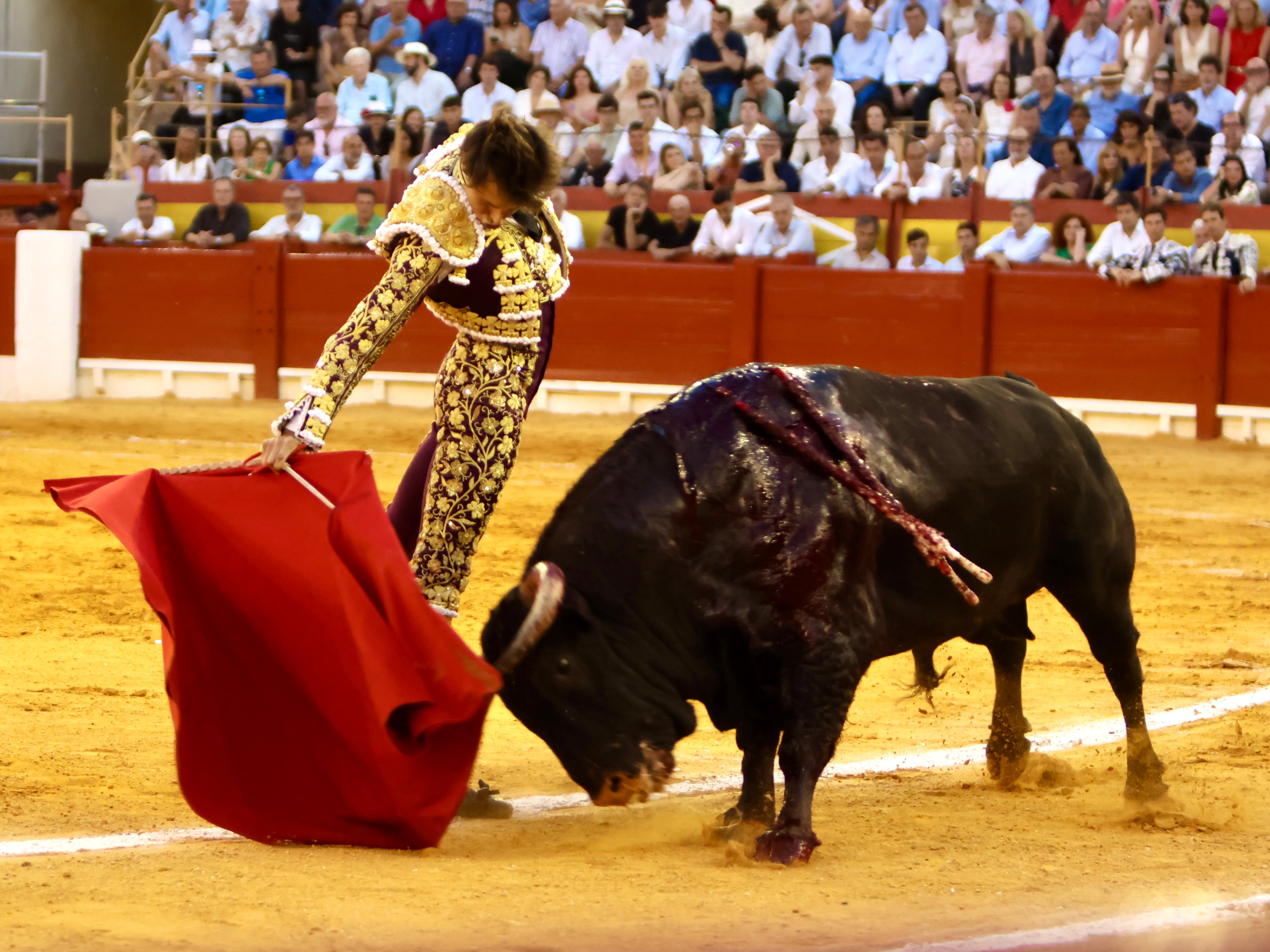 Loa al triunfalismo en Alicante