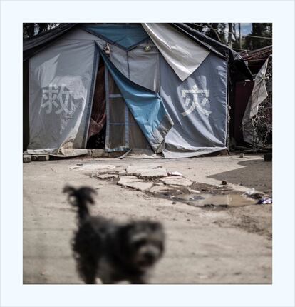 A un año del nuevo 19 de septiembre, muchas cicatrices siguen presentes en distintos barrios de la ciudad. Una de las más presentes son las familias que continúan viviendo en las carpas de procedencia China donadas por los programas de ayuda humanitaria.
