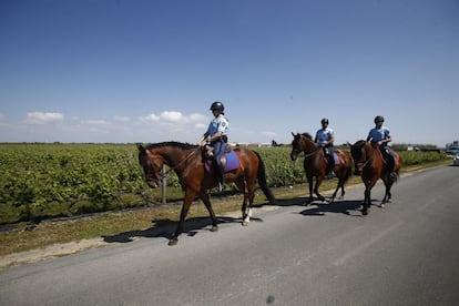 Policías a caballo vigilan los accesos al hotel donde está concentrada La Roja.