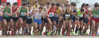 Salida de la prueba masculina de cross en Alcobendas. 