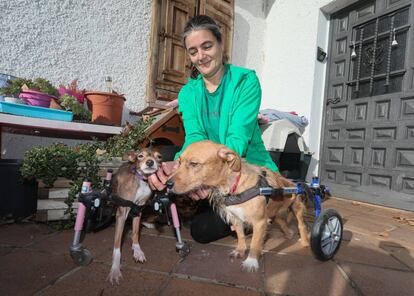 María García, fundadora de la ong animalista Bichos Raros.org, en su finca de Madrid.