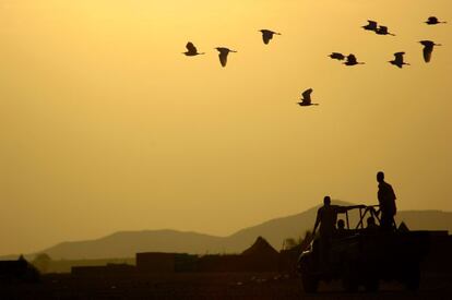 Kabkabiya, Darfur, Sudán 2005. Sorprendentemente el vehículo preferido por los insurgentes en Darfur no eran los todoterreno normales, sino las 'pick ups' donde podían transportar a más gente y montar armamento más pesado. Esto resultaba de alguna forma tranquilizador, aunque en ocasiones cuando se hacían con otros vehículos les serraban el techo para adaptarlos a sus necesidades.