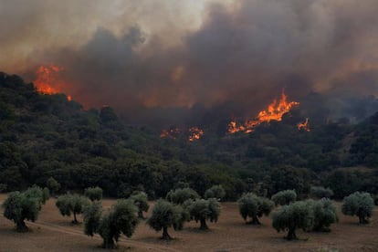 The fire in the Almorox area in Toledo,