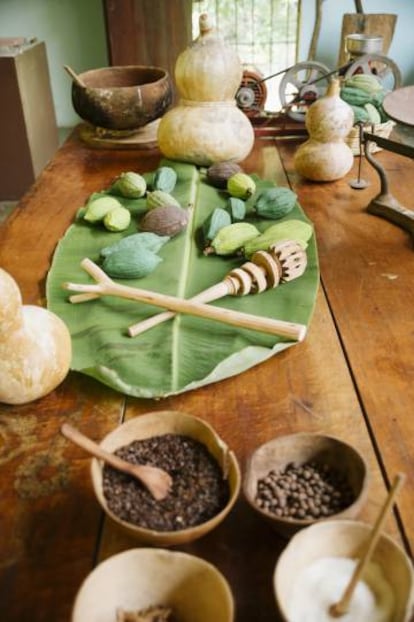 Habas de cacao en una hacienda en Tabasco.