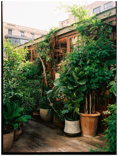 Una vista del jardín interior