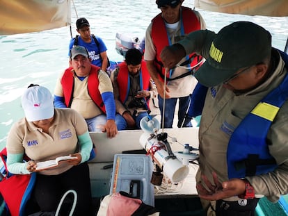 Los primeros resultados de las muestras tomadas indican que en el agua hay predominio de unos microorganismos del género 'Microcystis', conocidos antiguamente como algas verdeazuladas, el mismo tipo detectado en los años anteriores.