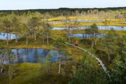 Parque nacional de Lahemaa, en Estonia.