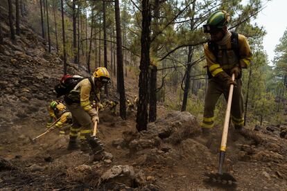 Personal del operativo Brifor realiza labores de perimetrado de puntos calientes en la zona de El Lagar, en el municipio de La Guancha, en el incendio que afecta desde el jueves a Tenerife.