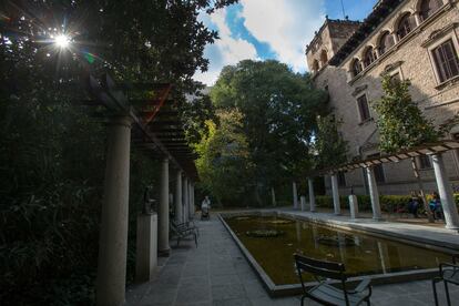 El enorme almez situado junto al estanque del jardín de la casa de Julio Muñoz Ramonet.