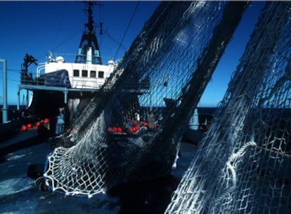 Muestreo de capturas a bordo de un barco de investigación pesquero australiano