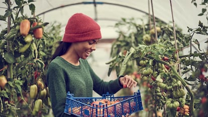 Reto ‘Comer menos carne desde ya’. Día 3: no todos los vegetales son buenos para el planeta