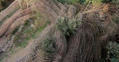 Fotograma de 'Sobre la marxa (El inventor de la selva)'