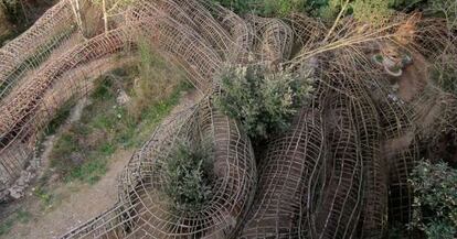 Fotograma de &#039;Sobre la marxa (El inventor de la selva)&#039;