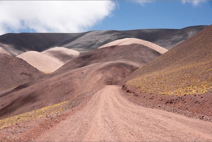 Aspecto del camino a la localidad de Famatina, en la provincia argentina de La Rioja.