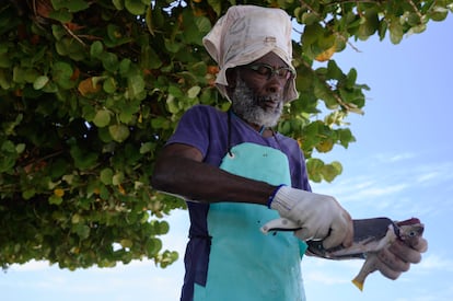 NO USAR SOLO PARA EL TEXTO:
Las mil y una formas de reparar las heridas de la colonización en el Caribe