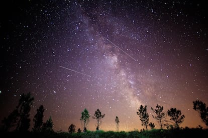 Perseids