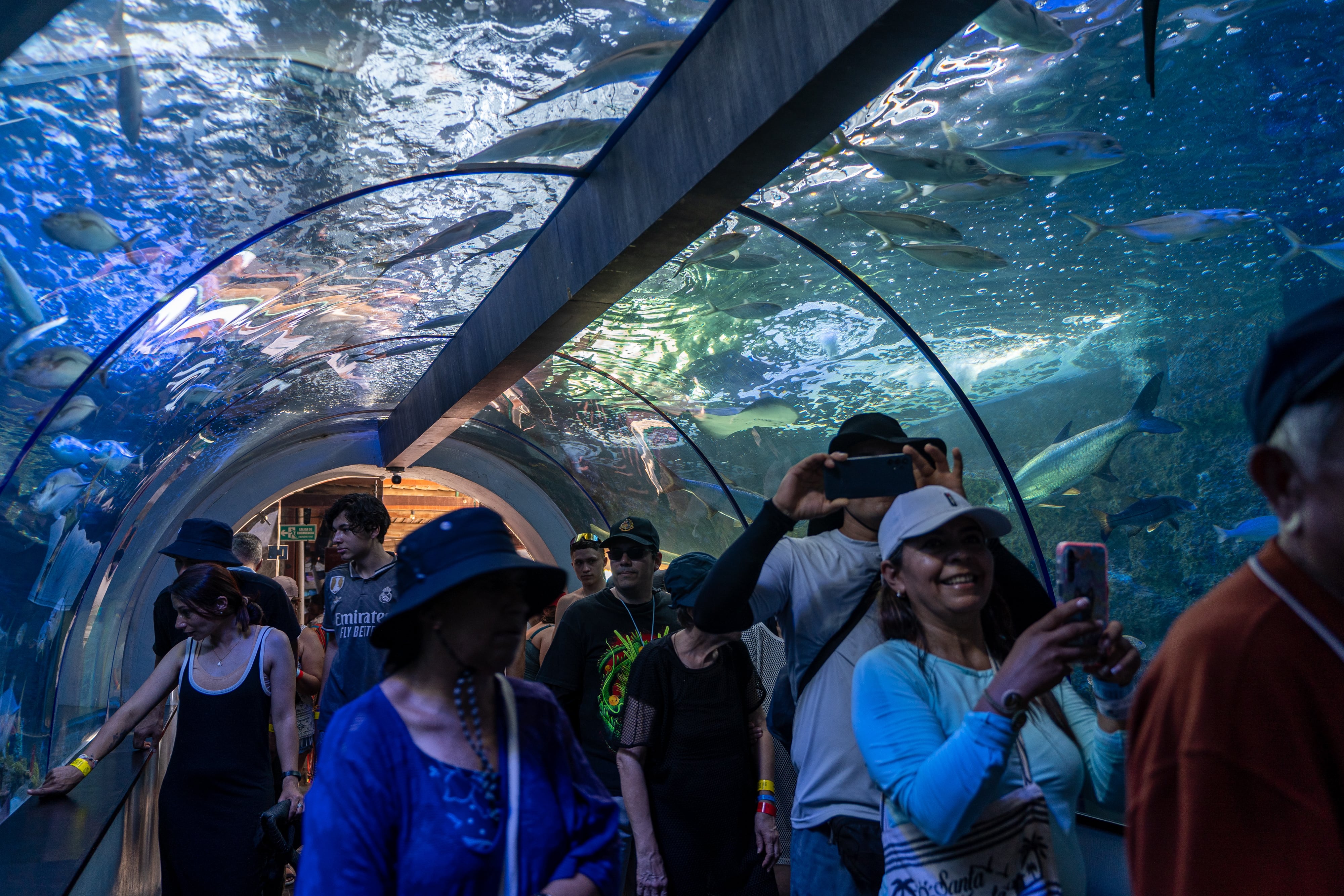 Turistas visitan el Centro de Vida Marina en Santa Marta, Colombia.