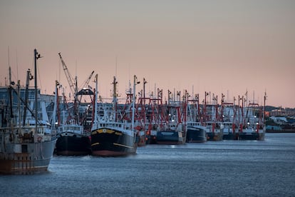 Inmigrantes guatemaltecos empacan mariscos en plantas a lo largo de la costa en New Bedford, Massachusetts. Como muchos son indocumentados, fueron excluidos de la mayoría de las ayudas federales por covid-19, a pesar de que trabajan en una industria esencial y pagan impuestos.