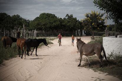 Alunos da zona rural brincam com bicicleta dada pelo programa Pedala Piauí.