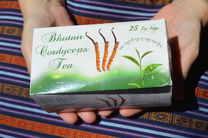 The mushroom is offered in Bhutan in an endless number of formats, from capsules with its extract to the mushroom itself along with the mummified larva to be used as an ingredient in all types of recipes.