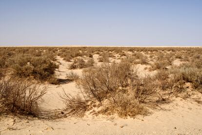 Zona semidesértica al sur del Chott-el Jerid, en el sur de Túnez.