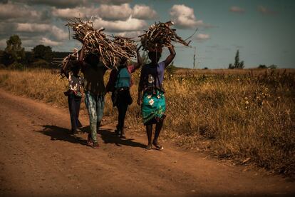 Unas mujeres cargan leña en los alrededores de Massaca. Mozambique es uno de los países más empobrecidos del mundo, y ocupa el puesto 181 de 189 en el Índice de Desarrollo Humano de la ONU. Gran parte del progreso de Massaca ha venido de la mano de la mozambiqueña Fundación Encontro, surgida de un centro de acogida para huérfanos llamado Casa do Gaiato. Esta abrió en los años noventa gracias al trabajo de dos personas: José María Ferreiras y Quitéria Torres.