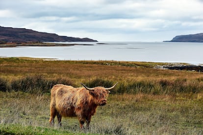 El paisaje del norte de Escocia es uno de los más bonitos de Europa