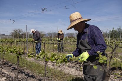 trabajadores en Chile