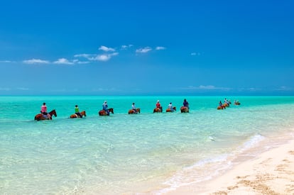 Un paseo a caballo por el mar en Providenciales. 