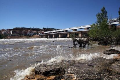 Vista del Ebro a la altura del pantano de Flix (Tarragona)