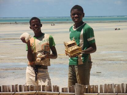 Viaje a Mozambique (12): semillas de esperanza