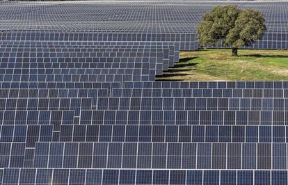 Planta solar de Talayuela (Cáceres), de 820 hectáreas, de las que 320 están libres de paneles solares para preservar las encinas centenarias que había en la zona.