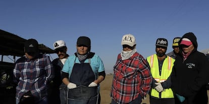 Trabajadores del campo en Huron, California, en septiembre.