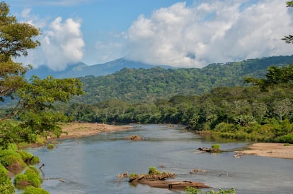 Según datos oficiales citados por la agencia Efe, Costa Rica cuenta con 149 áreas protegidas que abarcan 13.031 kilómetros cuadrados en la zona terrestre, lo que equivale a un 25,5 % de la superficie del país. En la imagen se puede ver el río Tarcoles, en el Parque Nacional de Carara, uno de los santuarios de la biodiversidad del país en la costa del Pacífico, a una hora y media en auto desde la capital costarricense de San José.