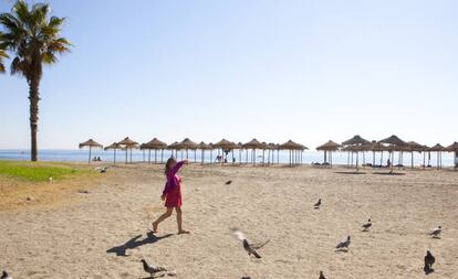 La Playa de El Palo posee un enorme palmeral con pequeñas islas de césped natural que permiten a los disfrutar de la sombra.