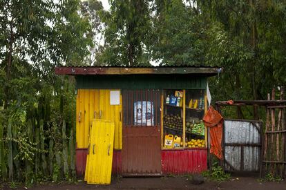 Una tienda de fruta de la comunidad rastafari en Shashemene pintada con los colores de la bandera etí­ope, colores que los rastafaris del todo el mundo han adoptado como propios. En la comunidad es normal la profusiÃ³n de estos tres colores en banderas y muros pintados.