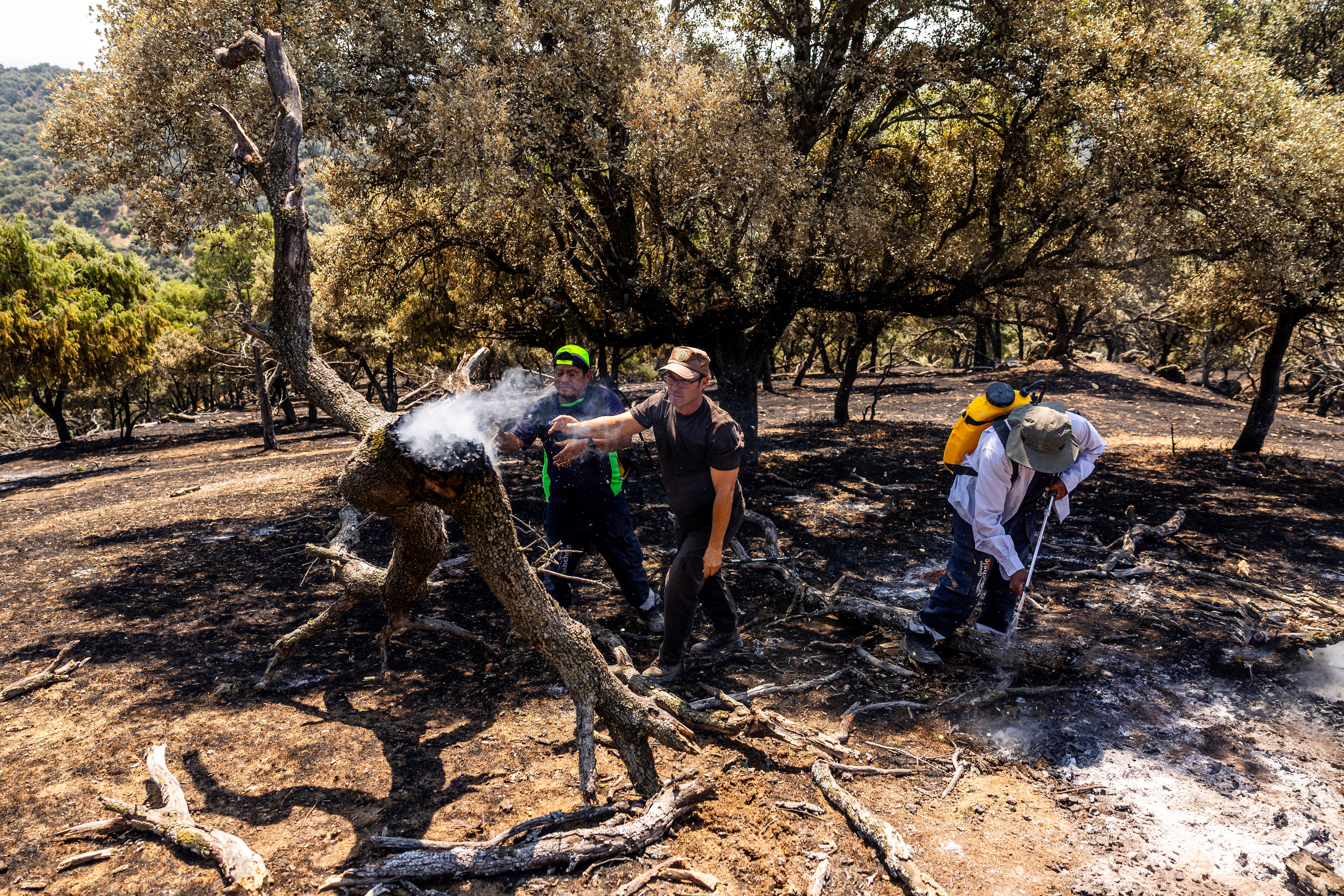 José Luis, Guardia Rural, y dos brigadistas, Carlos y Santi, apagan un conato de incendio en una finca  cerca del pueblo Aldea del Fresno, en Madrid. SAMUEL SÁNCHEZ