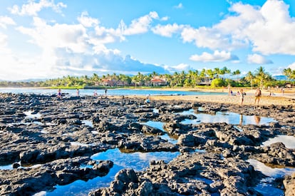 Parque de la playa de Poipu (Kauai, Hawái). Hay mucho que explorar en esta soleada costa. Una opción es hacer esnórquel y observar las rocas de lava y los coloridos peces que las habitan. Y otra alternativa en la orilla es ver las focas monjes hawaianas descansando tranquilamente durante el día y a las tortugas marinas abriéndose camino hacia el mar al atardecer. Poipu ocupa la misma posición en la lista por segundo año consecutivo.