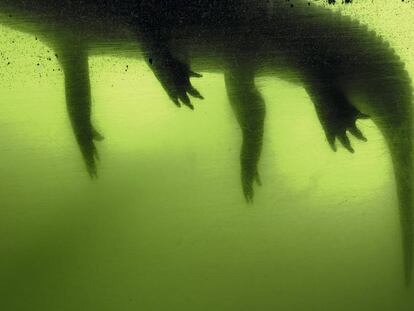 Miami, una ciudad amenazada por el agua