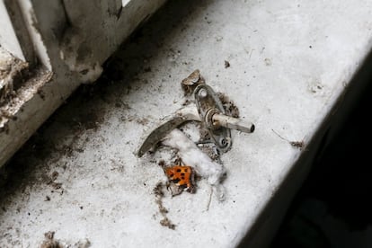 Una papallona morta sobre un mànec d'una finestra d'un pis abandonat, a la ciutat ucraïnesa de Prípiat.