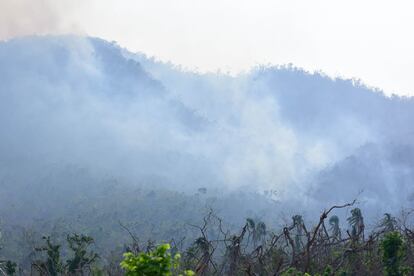 Los incendios que afectan el área desde hace un par de días se han incremento a pesar de los esfuerzos de brigadas de protección civil y bomberos, así como de combatientes de incendios de la Comisión Nacional Forestal.