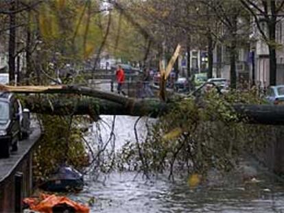 Un árbol caído bloquea un canal de Amsterdam.