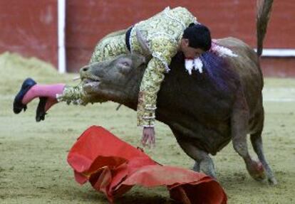 El tercer toro voltea, sin consecuencias, a Miguel Abellán durante la faena de muleta.