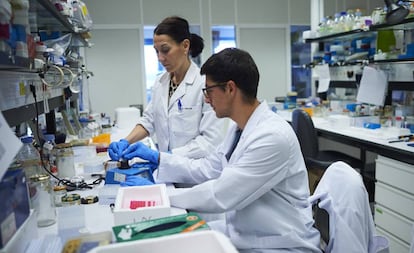 Pamplona, 22/05/2019  - Jóvenes investigan en el Centro  de Investigación Médica Avanzado (CIMA) de Pamplona. Foto: Pablo Lasaosa