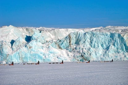 Trineos de perros en la isla de Spitsbergen.